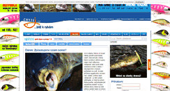 Desktop Screenshot of chytej.cz